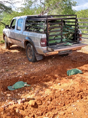 Ford Ranger 3.0 Xlt Cab. Dupla 4x4 4p