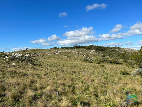 Imagen 10 de 24 de Lindo Campo Para Fraccionar, Sobre Ruta Y A Poco Mas De 1 Hora De Punta