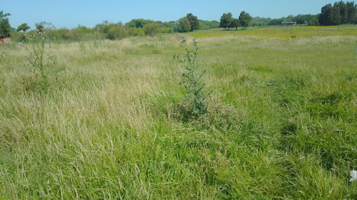 Venta De Terrenos, Se Acepta Permuta Por Algo De Igual Valor