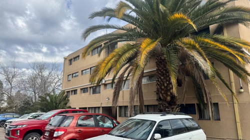 Dpto. Arriendo Sin Comisión, Valor Incluye Gasto Común