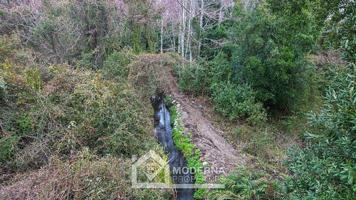 Parcela 10.974 M2 Con Agua En Sector Candelaria
