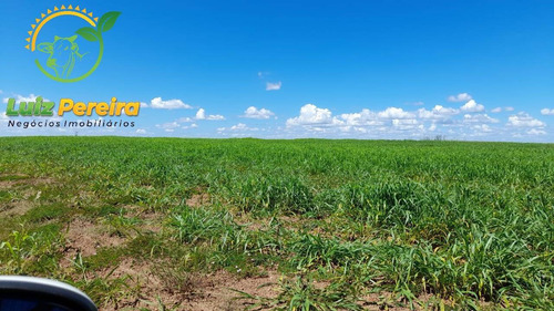 Imagem 3 de 15 de Fazenda À Venda Em Divinópolis - To - De 1.476 Hectares - 1747