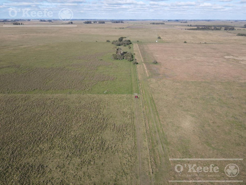 Imagen 5 de 16 de Campo Mixto De 280 Has En Venta Con Inmejorable Acceso Sobre Asfalto En Ranchos - Oportunidad !