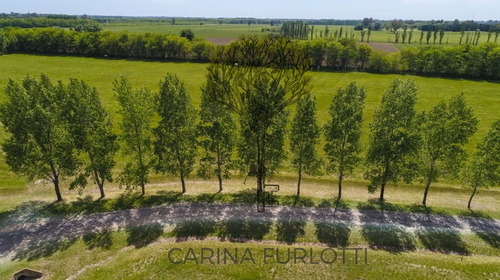 Terreno En Venta En La Colina Villa De Campo