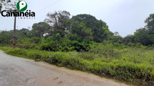 Imagem 10 de 12 de Terreno Com 2.250 M² (chácara) Localizado No Parque Náutico, Cananéia, Litoral Sul De Sp - Te00096 - 70531411