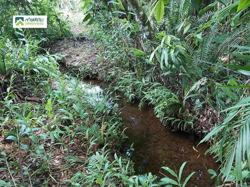 Imagem 6 de 24 de Chácara À Venda No Bairro América De Cima - Morretes/pr - 269