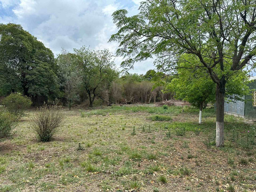 Imagen 12 de 12 de Venta Campo 6 Has - Villa Esquiu