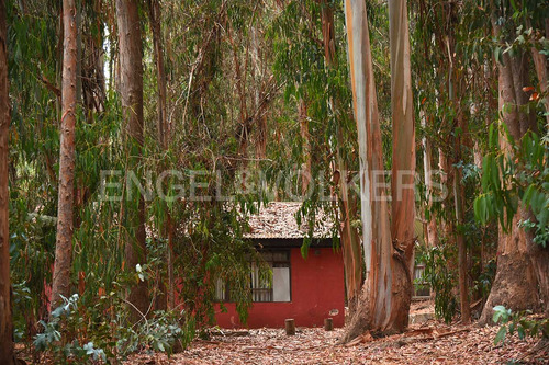 Terreno Para Un Interesante Proyecto