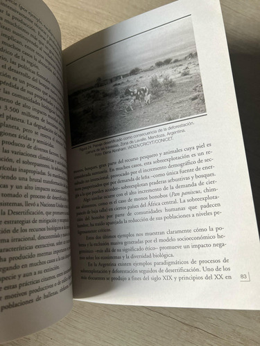 Biodiversidad - Daniel L Melendi