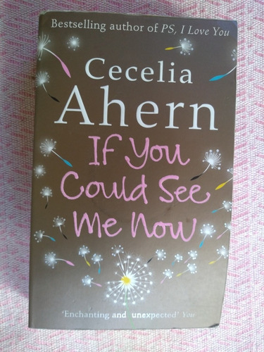 If You Could See Me Now. Novela. (inglés). Cecelia Ahern