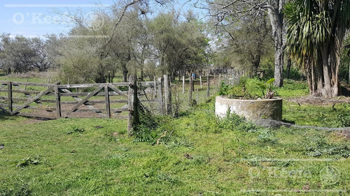 Imagen 7 de 22 de Chacra De 28 Has En Venta - Casco Y Producción