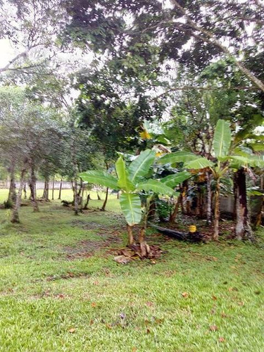 Chácara Murada No Litoral Ref 4327dz