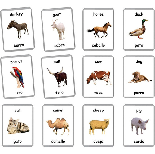 Tarjetas Flash Bilingües Lifelolo Animales De Granja 27