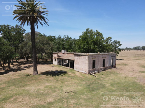 Campo En Venta De 50 Has En Carlos Keen - A 1 Hora De Caba