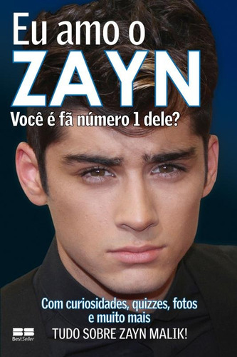 Eu amo o Zayn, de Maloney, Jim. Série Eu amo One Direction Editora Best Seller Ltda, capa mole em português, 2013