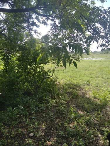 Imagen 8 de 17 de Venta 199 Hectáreas - Para Cultivo Y Ganado