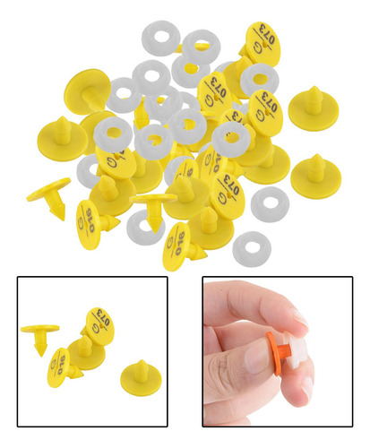 100 Piezas De Oreja Tarjeta De Identificación Anticaída