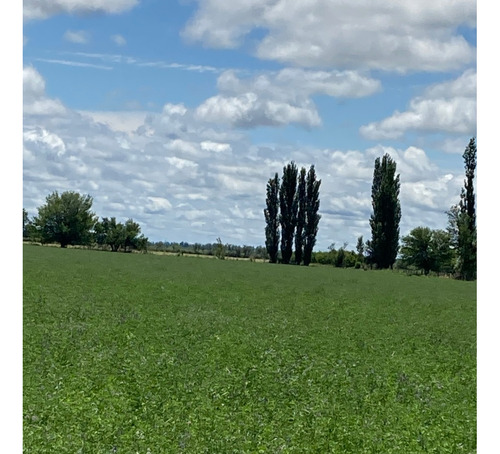 Finca Gral Alvear, 71 Hcts,en Producción Y Con Equipamiento.