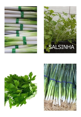 Imagem 1 de 7 de 200 Sementes De Cheiro Verde:  Cebolinha + Salsinha 