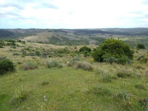 Campo En Venta
