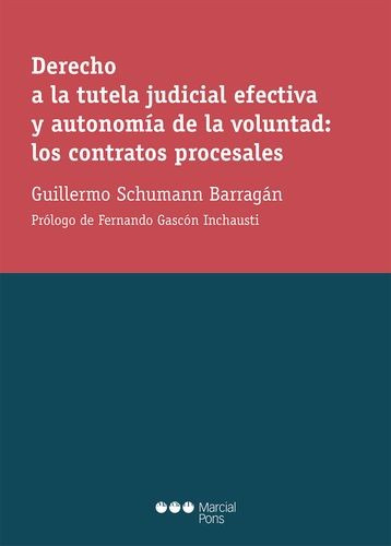 Libro Derecho A La Tutela Judicial Efectiva Y Autonomía De