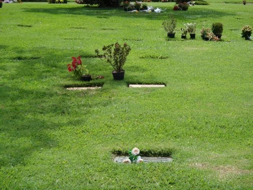 Cemitério Parque Morumby Área Nobre Jazigo Vazio Com 3 Gavetas Sem Nenhuma Pendência