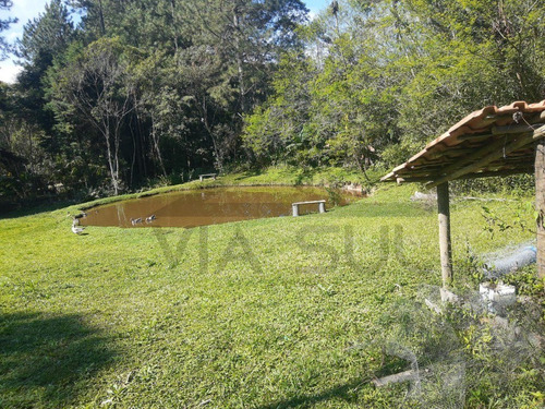 Imagem 28 de 30 de Sítio À Venda Em Juquitiba, Excelente Localização Na Rodovia Régis Bittencourt, Ideal Para Lazer, Moradia Ou Comercio - 85 - 70324044