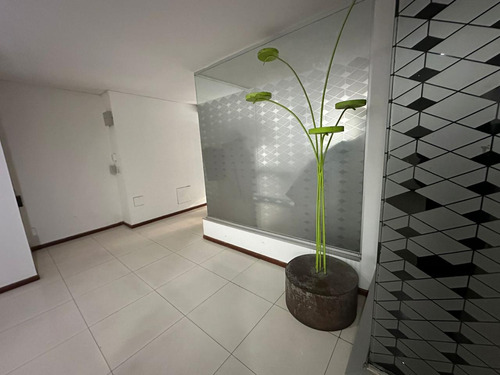 Alquiler De Departamento En Guemes 1 Dormitorio