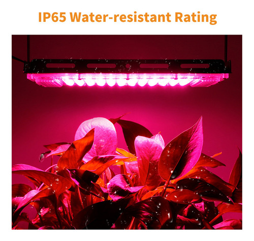Ac180-240v 100w 96leds Luz Interior Del Crecimiento De La Pl
