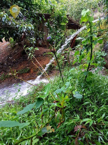 Imagem 28 de 30 de Sítio Com Cachoeira Privativa Em Santa Teresa. - Si0002