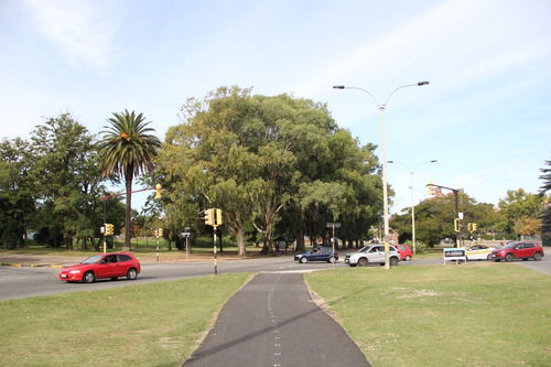 Venta Apartamento 2 Dormitorios Parque Batlle Parque Belgrano