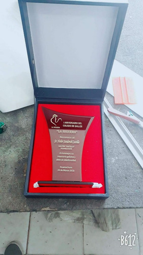 Imagen 8 de 10 de Trofeos En Vidrio Personalizado