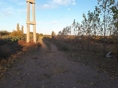 Imagen 13 de 17 de Vendo Campo De 300ha, San Rafael, Mendoza