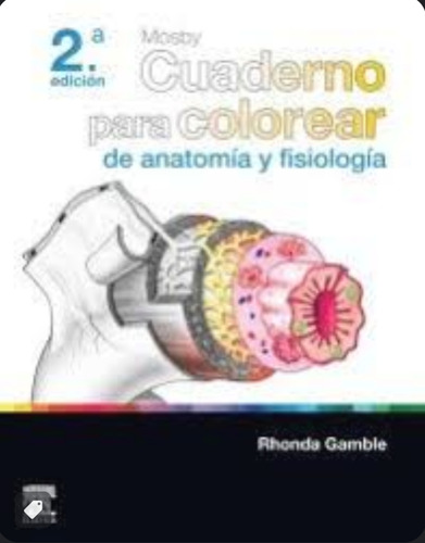 Cuaderno Para Colorear De Anatomía Y Fisiología 2 Ed