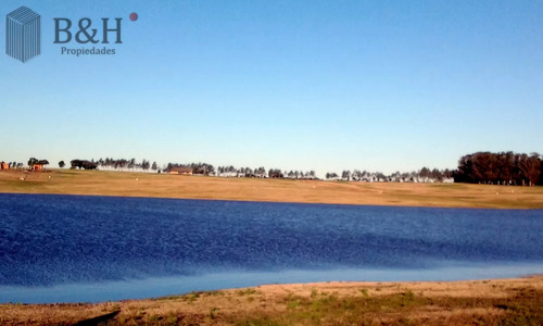 50 Metros De Costa, Acepta Financiacion, Venta, Chacra, Punta Del Este, Uruguay, Laguna De Los Cisnes
