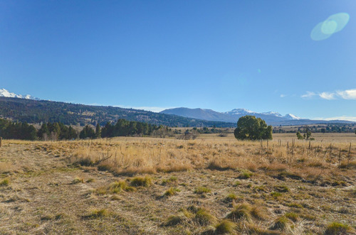 Imagen 3 de 15 de Terreno Entre Trevelin Y Esquel Sobre Ruta 259