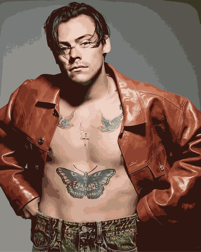 Pintura Por Números Calidad Premium: Harry Styles 3. Kitart
