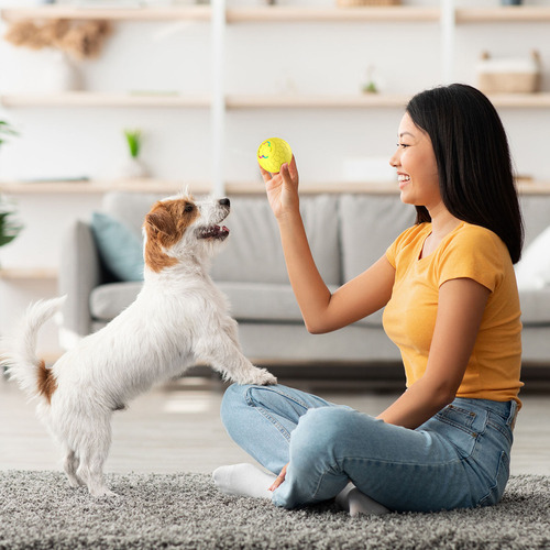 Pastoreo Interactivo De Pelotas Para Perros De Pelota De Jug