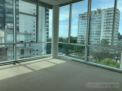 Imagen 12 de 30 de Alquiler De Oficina De 554 M2 En Vicente López
