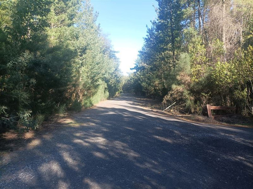 Parcela En Venta En Pucón Cond El Alba