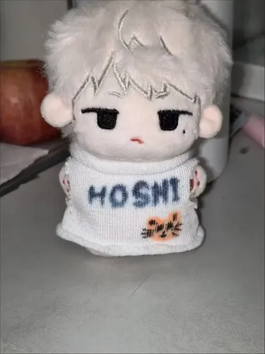 Boneca De Pelúcia Seventeen Woozi De 10 Cm, Bolsa Fofa, +cc