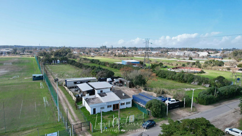 Terreno En Alquiler De 1600m2 Ubicado En Servando Gómez. Carrasco