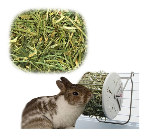 Heno De Alfalfa 1 Kg Fresco 100 % Nutritivo Pethome