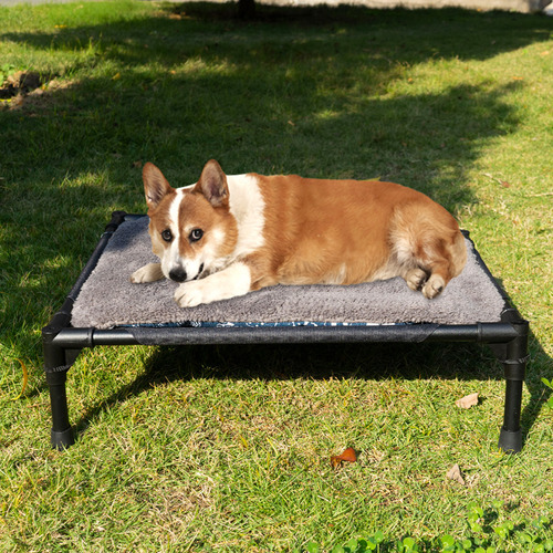 Cuna Para Perros De Camping, Cama Plegable, Elevada, Imperme