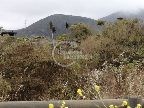 Sitio Venta Rocas Del Mar - Los Molles