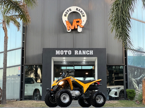 Imagen 5 de 11 de Can-am Ds 250 2017 Automatico 4x2, Igual A 0km !