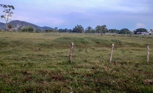 Imagen 5 de 13 de Finca En Recta Ayari Para La Cria De Pollos