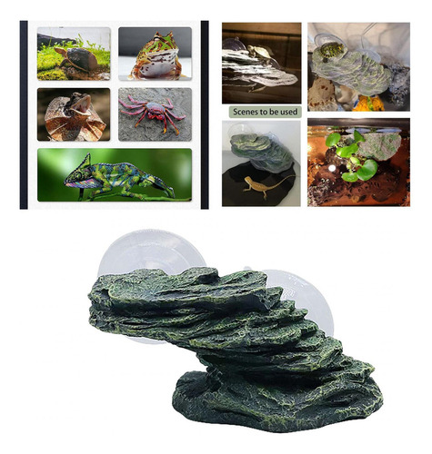 Muelle Para Reptiles, Piedra Para Terraza De , Repisa Para