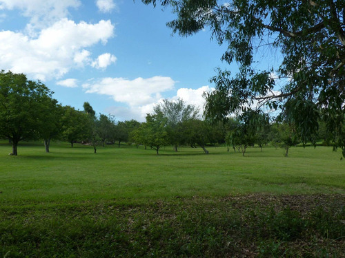 Imagen 15 de 30 de Se Venden 10 Ha En Valle Hermoso Con Servicios