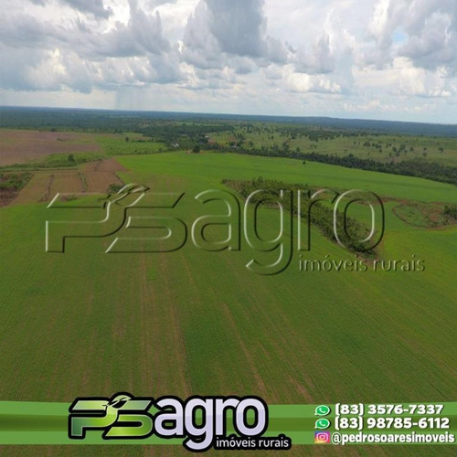 Imagem 9 de 10 de Fazenda À Venda Em Pium/to - 4.210 Ha (870 Alqueires) - Fa0089